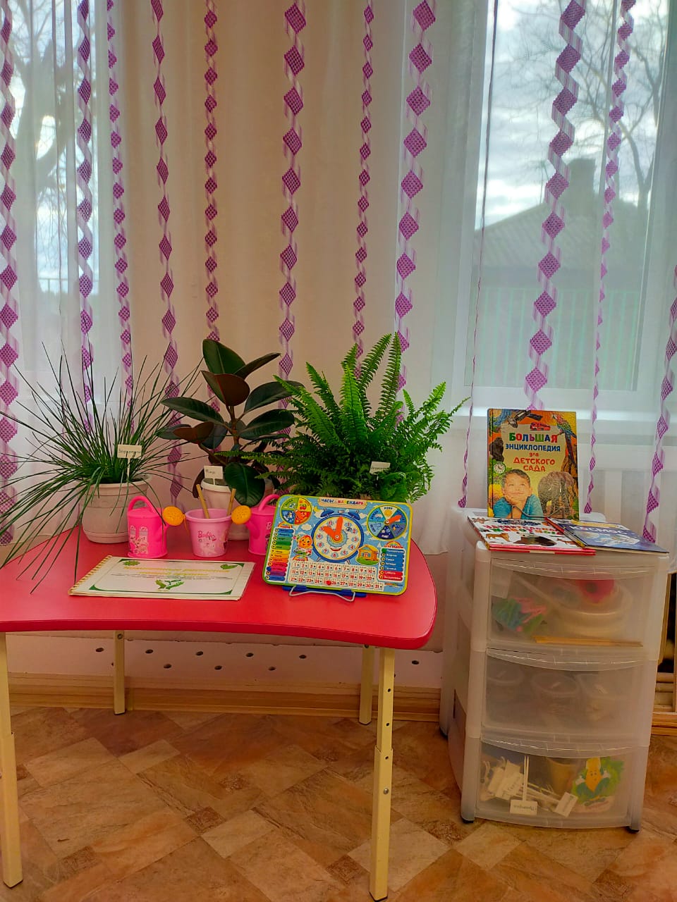 Группа 5-7 лет Уголок эколога